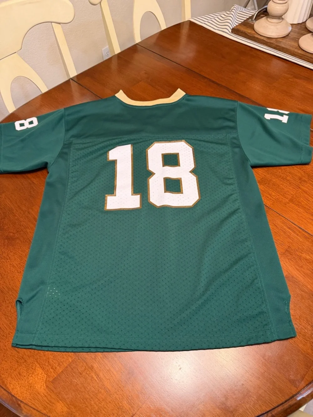 Colorado State University CSU Rams Football Jersey #18 Youth Sz XL 18-20 Adidas - Picture 9 of 10